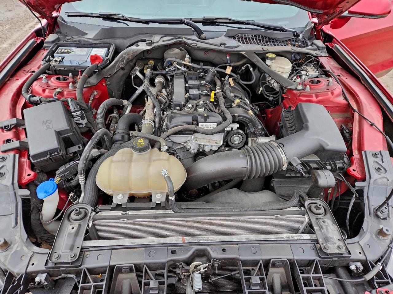 2021 Ford Mustang VIN: 1FATP8UH0M5125540 Lot: 91171705