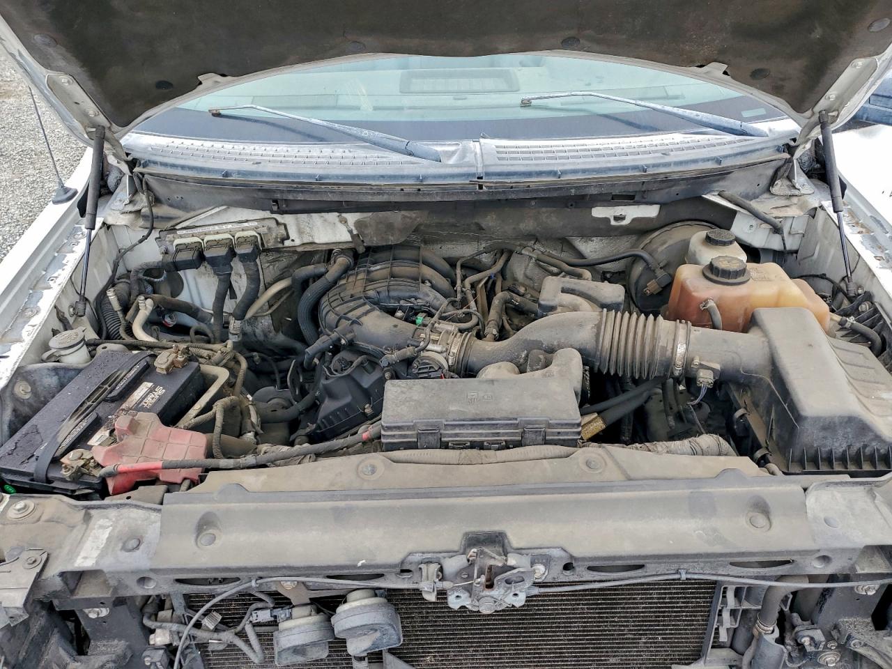 2011 Ford F150 VIN: 1FTMF1CM5BKD38196 Lot: 93116675