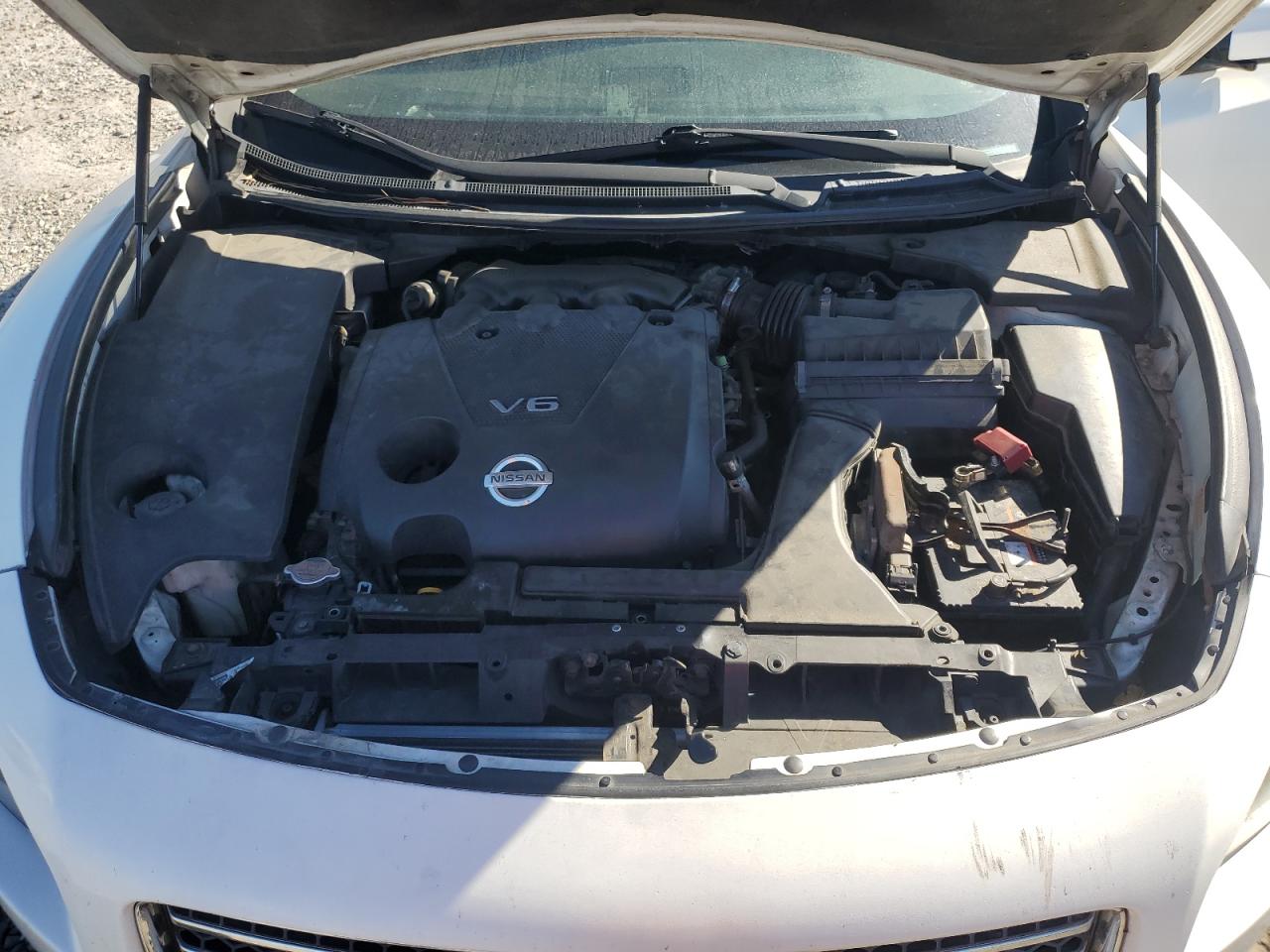 2010 Nissan Maxima S VIN: 1N4AA5AP7AC830703 Lot: 93208955