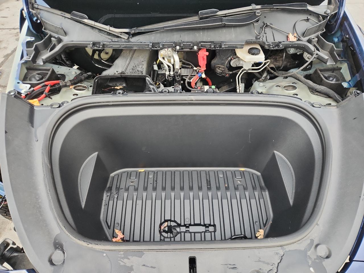 2022 Tesla Model Y VIN: 7SAYGDEF5NF552656 Lot: 93774235