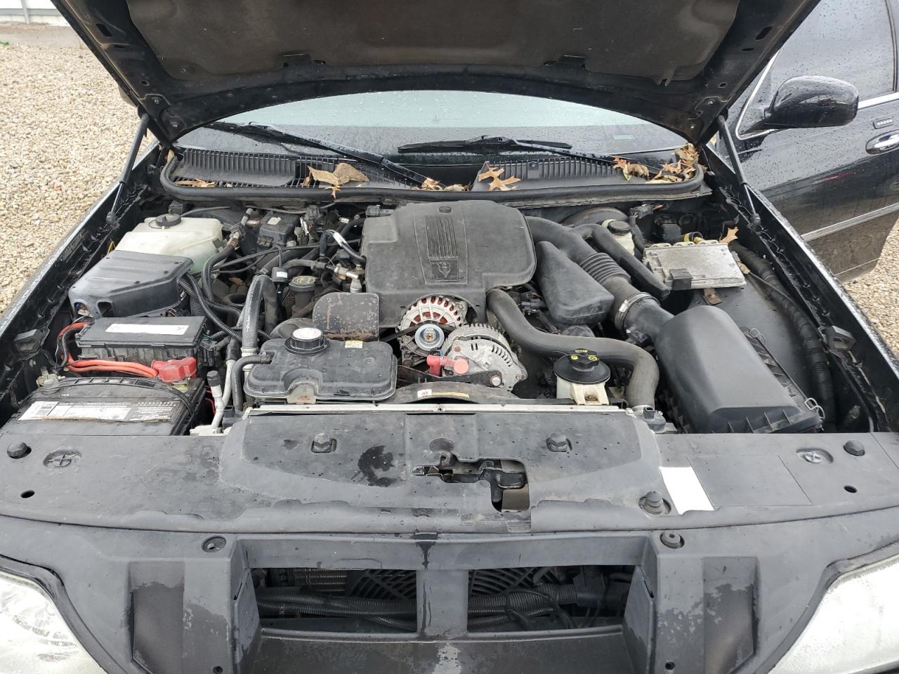 2006 Lincoln Town Car Executive VIN: 1L1FM88WX6Y630606 Lot: 93103135