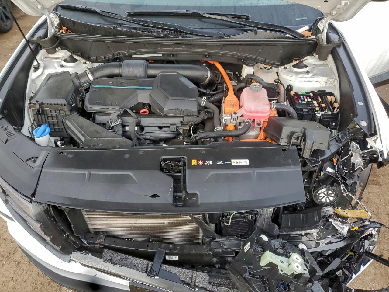 2022 Hyundai Tucson Blue VIN: KM8JBCA16NU030056 Lot: 94081425