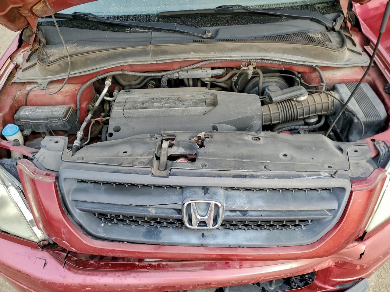 2004 Honda Pilot Exl VIN: 2HKYF18684H545369 Lot: 93343955