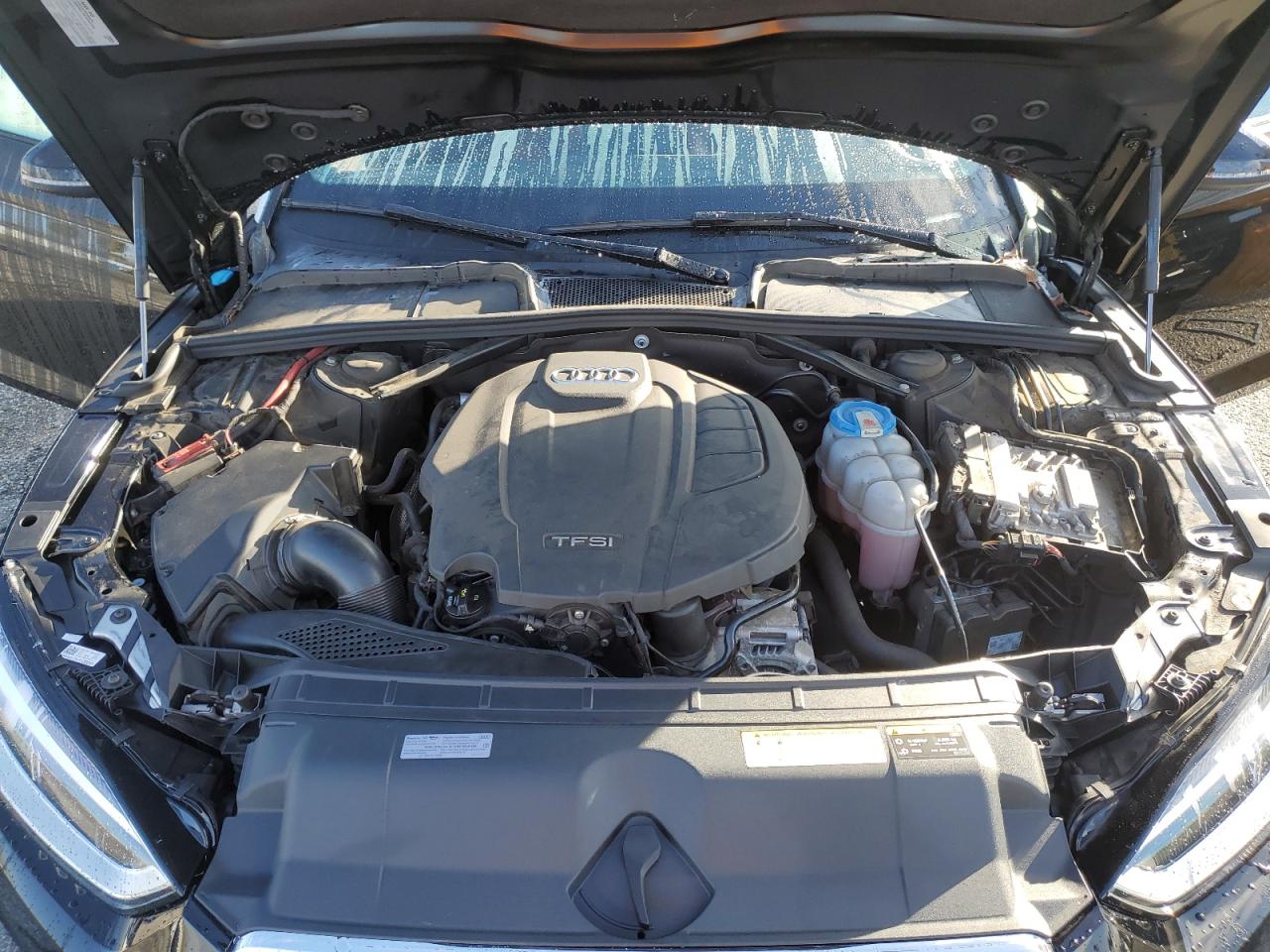 2019 Audi A5 Premium Plus VIN: WAUYNGF59KN000663 Lot: 91624005