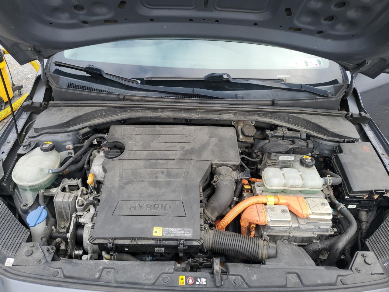 2019 Hyundai Ioniq Blue VIN: KMHC65LC8KU128492 Lot: 92264755