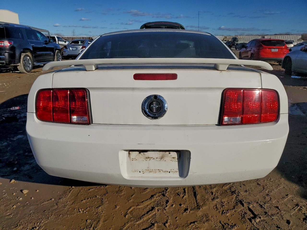 2005 Ford Mustang VIN: 1ZVFT80N455107006 Lot: 94484955