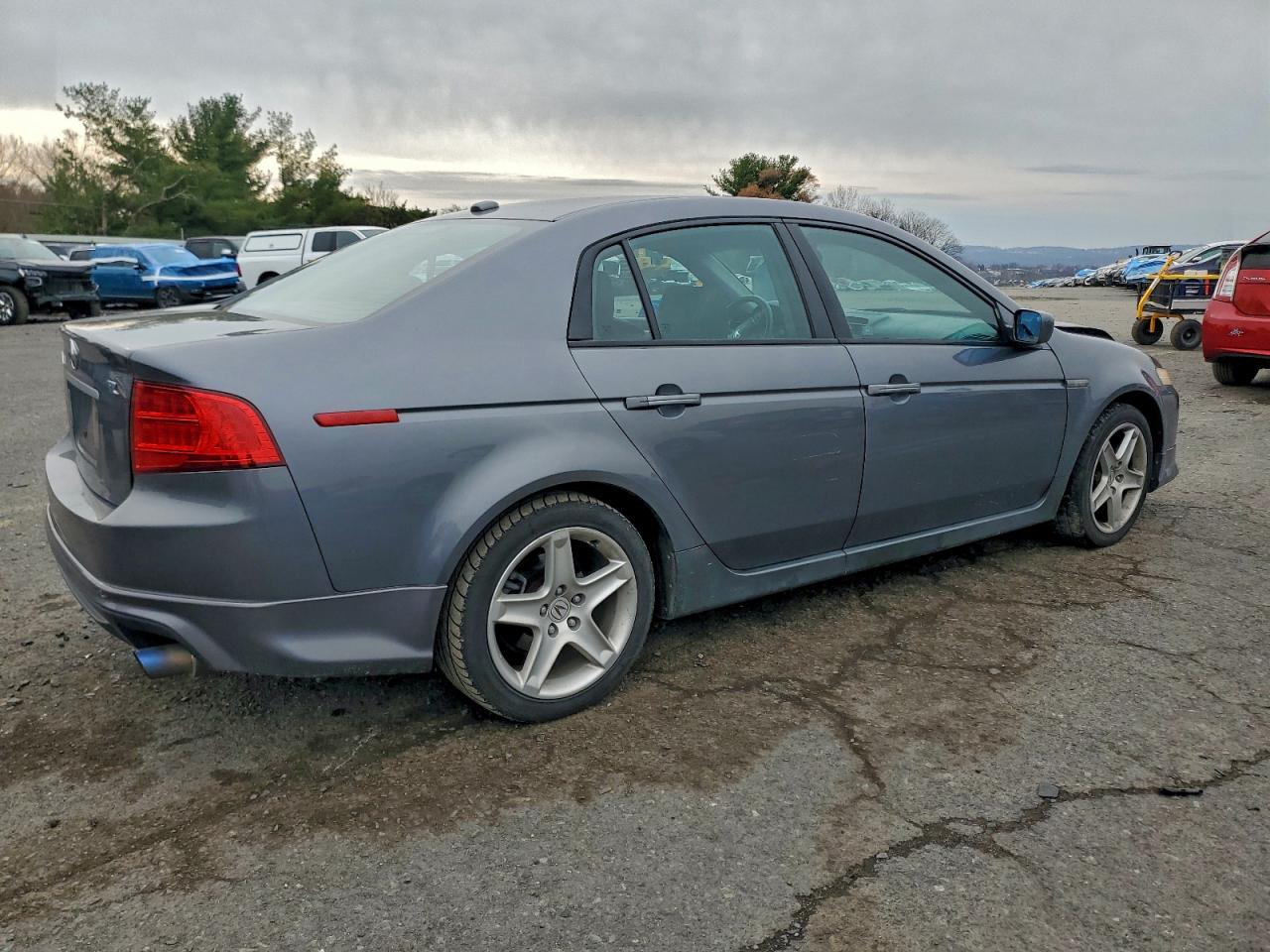 2004 Acura Tl VIN: 19UUA66244A056146 Lot: 94195035