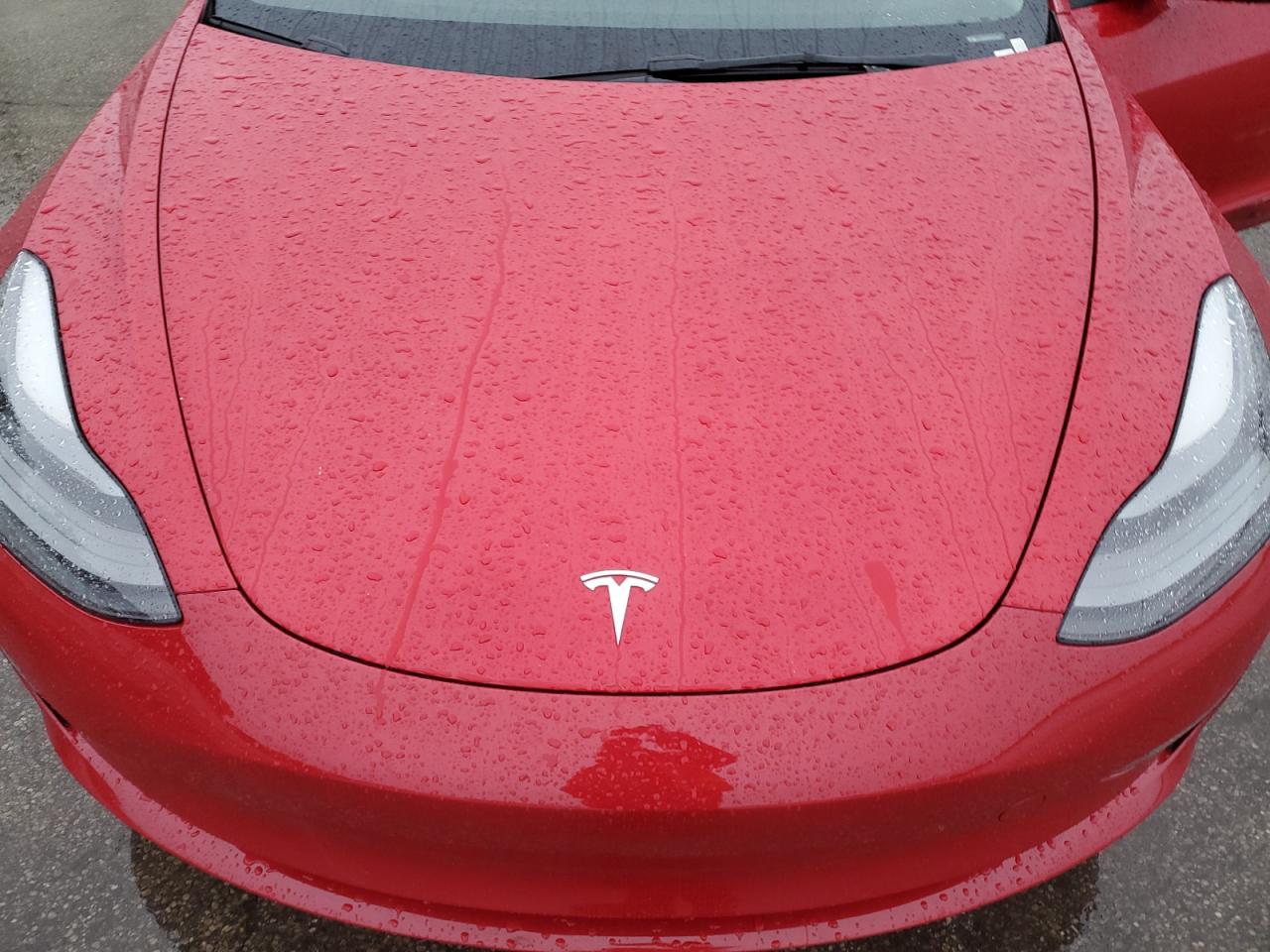 2023 Tesla Model 3 VIN: 5YJ3E1EA0PF450328 Lot: 93258055