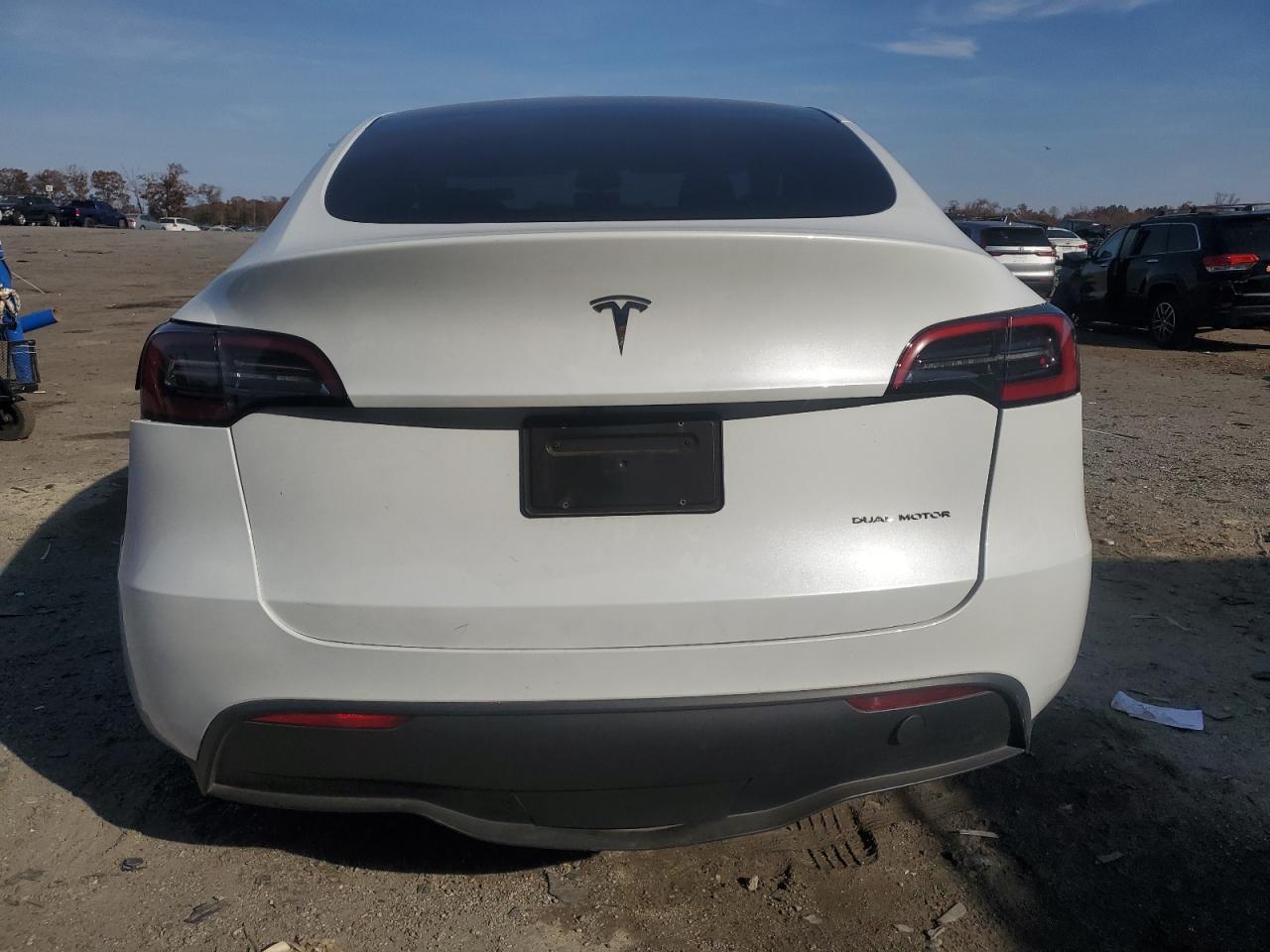2024 Tesla Model Y VIN: 7SAYGDEE9RA288531 Lot: 91821805