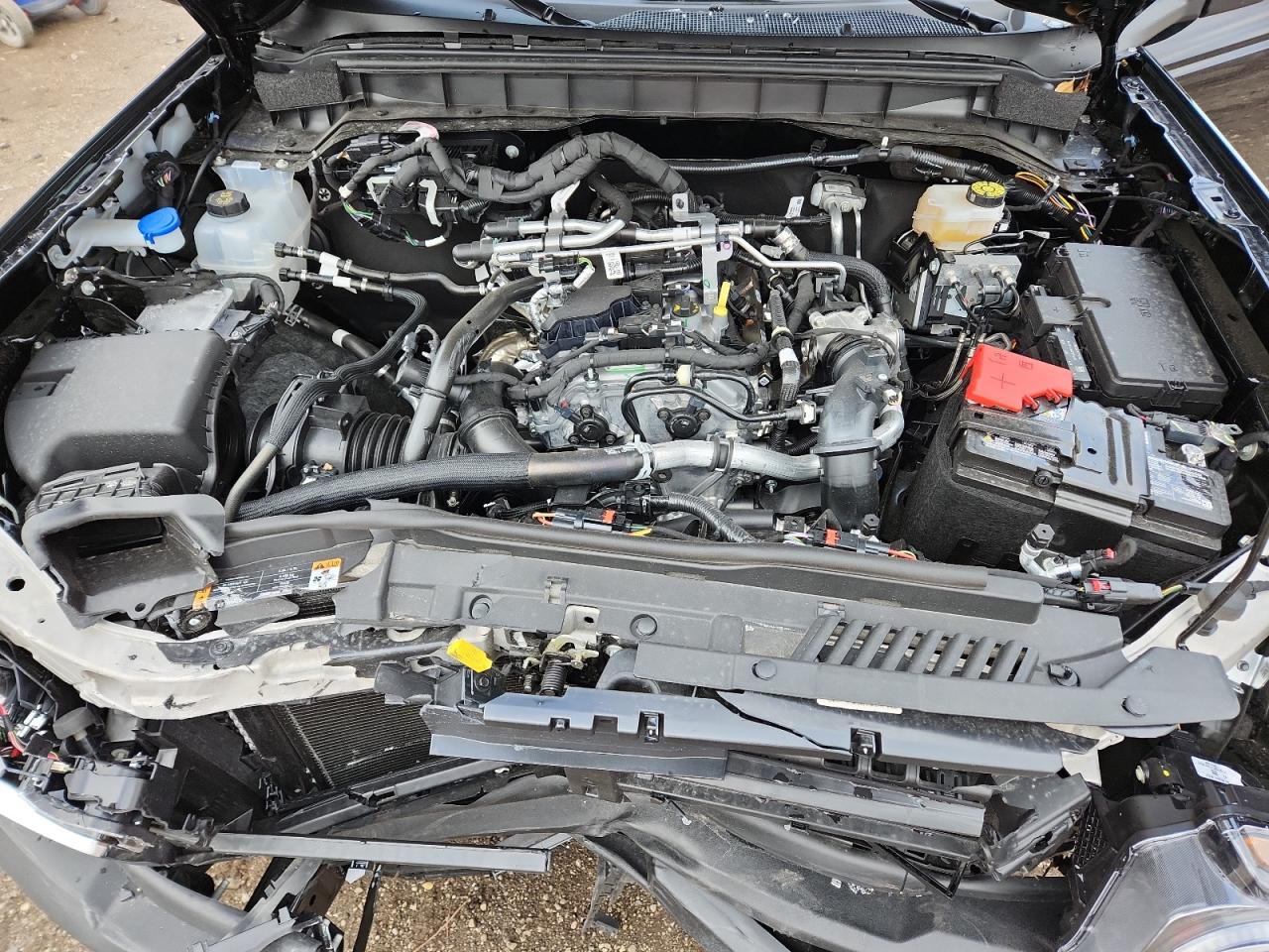 2025 Ford Bronco Big Bend VIN: 1FMDE7BH6SLB34443 Lot: 91888745