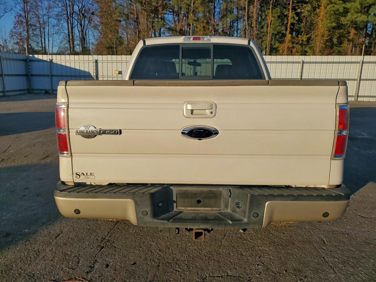 2009 Ford F150 Supercrew VIN: 1FTPW14V89KC36616 Lot: 94303235