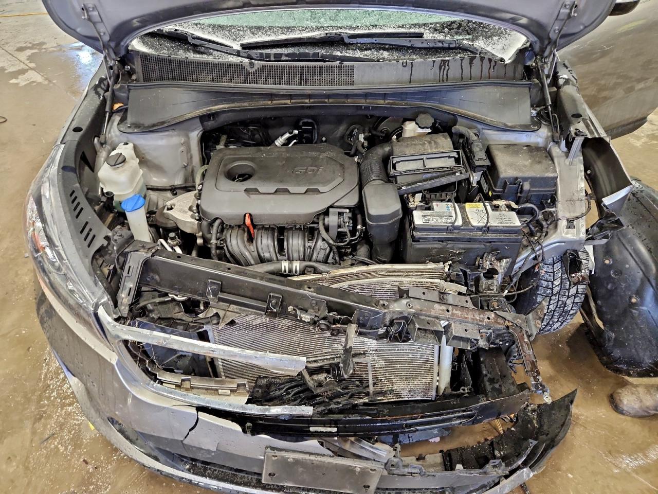 2019 Kia Sorento L VIN: 5XYPGDA37KG524687 Lot: 94193895