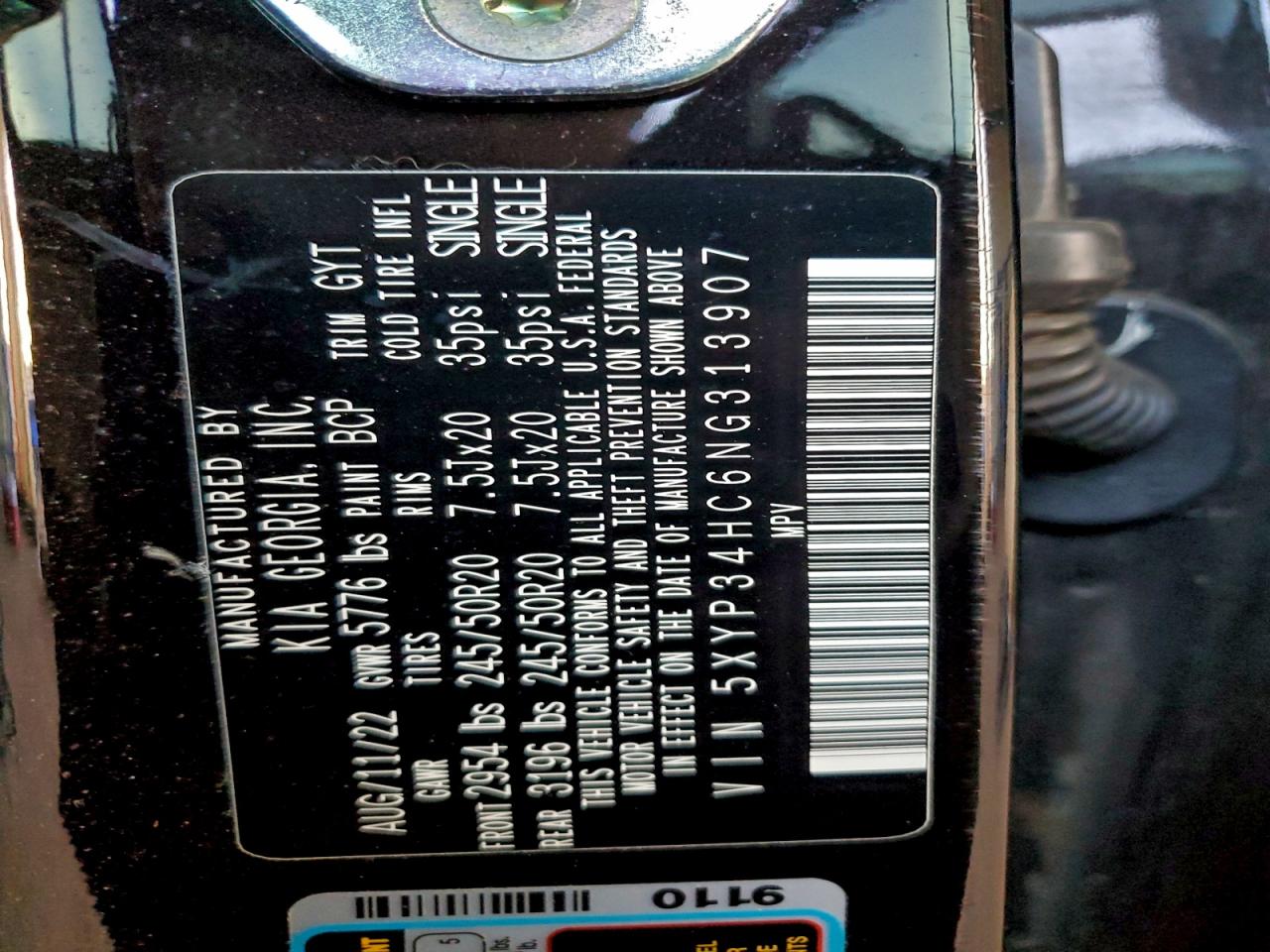 2022 Kia Telluride Ex VIN: 5XYP34HC6NG313907 Lot: 94140935