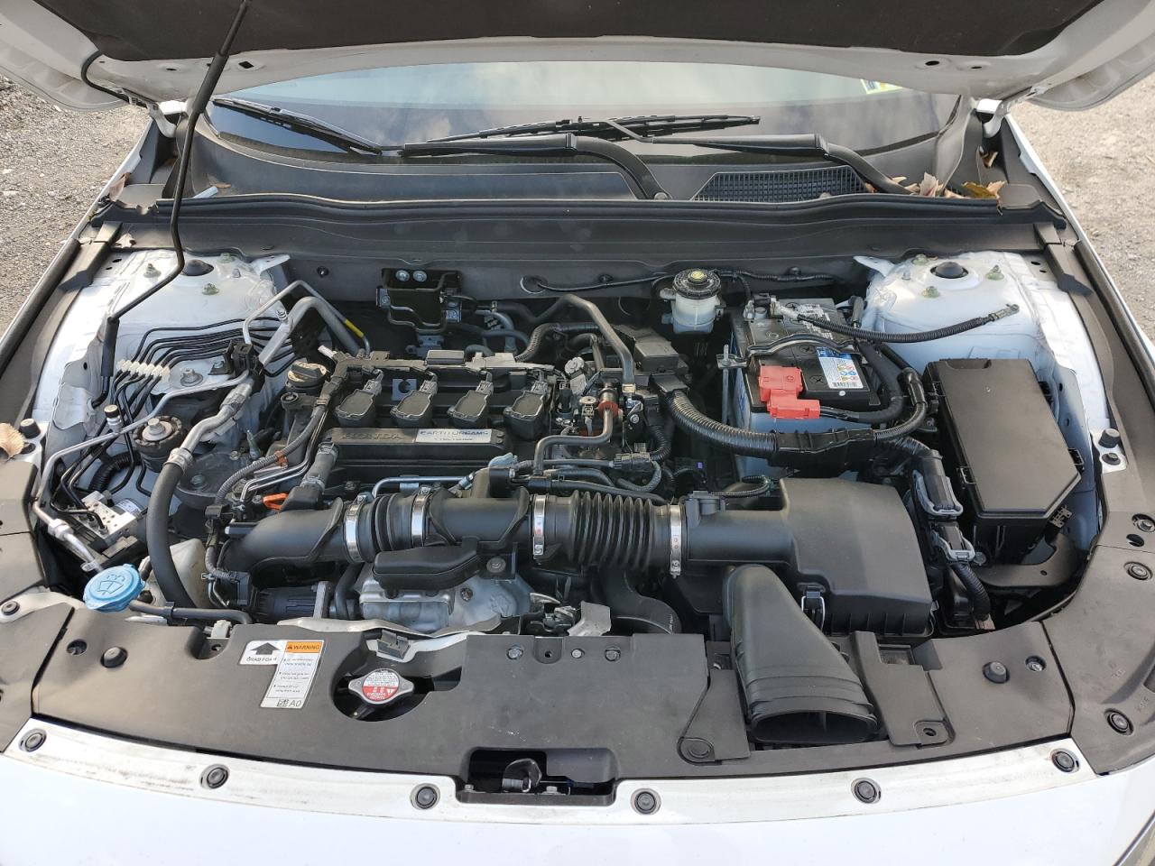 2019 Honda Accord Exl VIN: 1HGCV1F57KA006951 Lot: 91797015