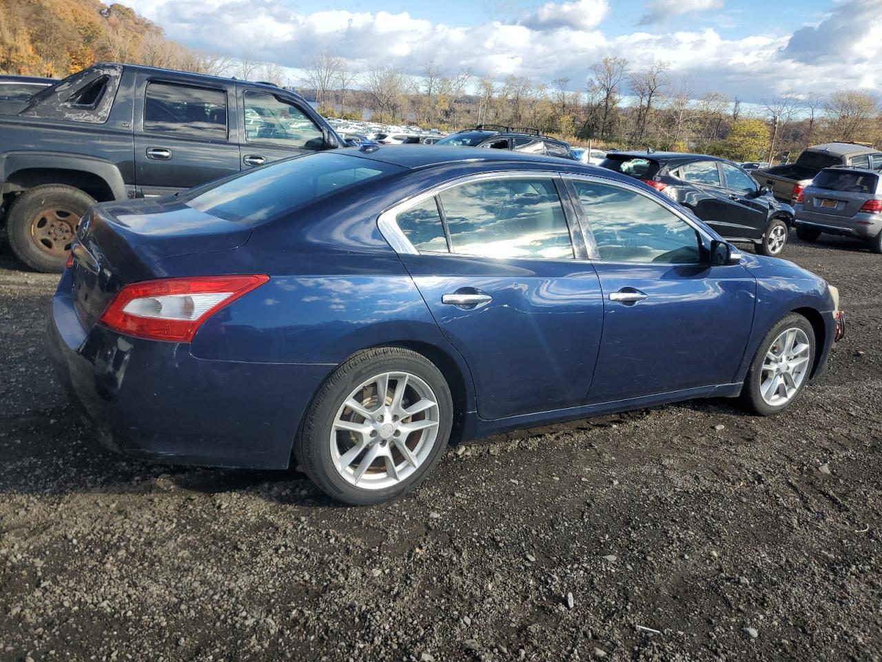 2010 Nissan Maxima S VIN: 1N4AA5AP5AC844860 Lot: 91362925