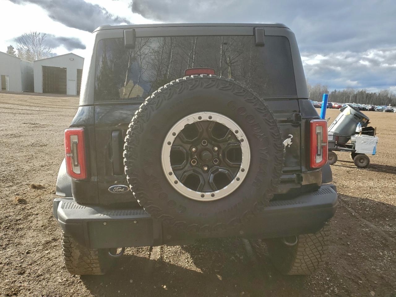 2024 Ford Bronco Badlands VIN: 1FMDE9AP4RLA32587 Lot: 91769885