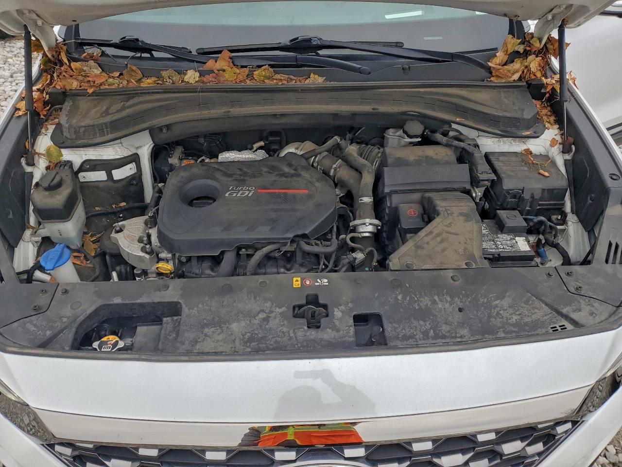 2020 Hyundai Santa Fe Limited VIN: 5NMS53AA9LH252014 Lot: 93911775