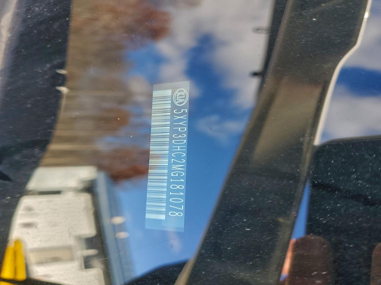 2021 Kia Telluride Ex VIN: 5XYP3DHC2MG181078 Lot: 93896245