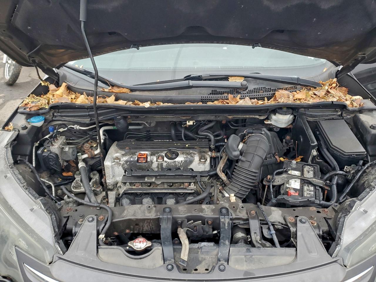 2014 Honda Cr-V Lx VIN: 2HKRM4H36EH699601 Lot: 93602745