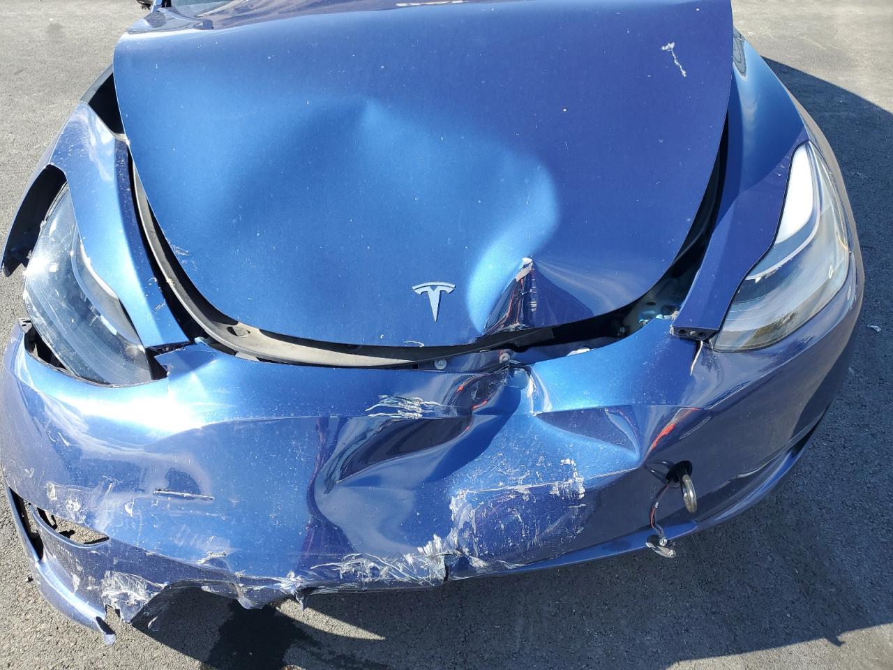 2023 Tesla Model Y VIN: 7SAYGDEE2PF972238 Lot: 91700305