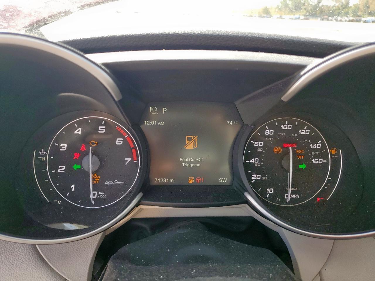 2020 Alfa Romeo Giulia VIN: ZARFAMAN0L7636007 Lot: 92583595