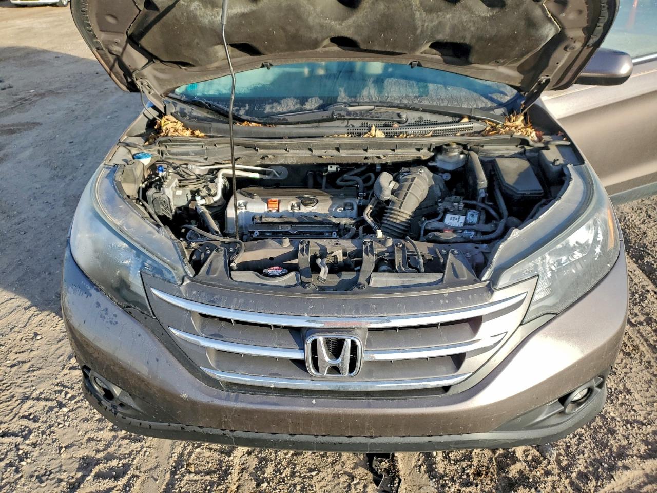 2014 Honda Cr-V Exl VIN: 2HKRM4H70EH718629 Lot: 92402705