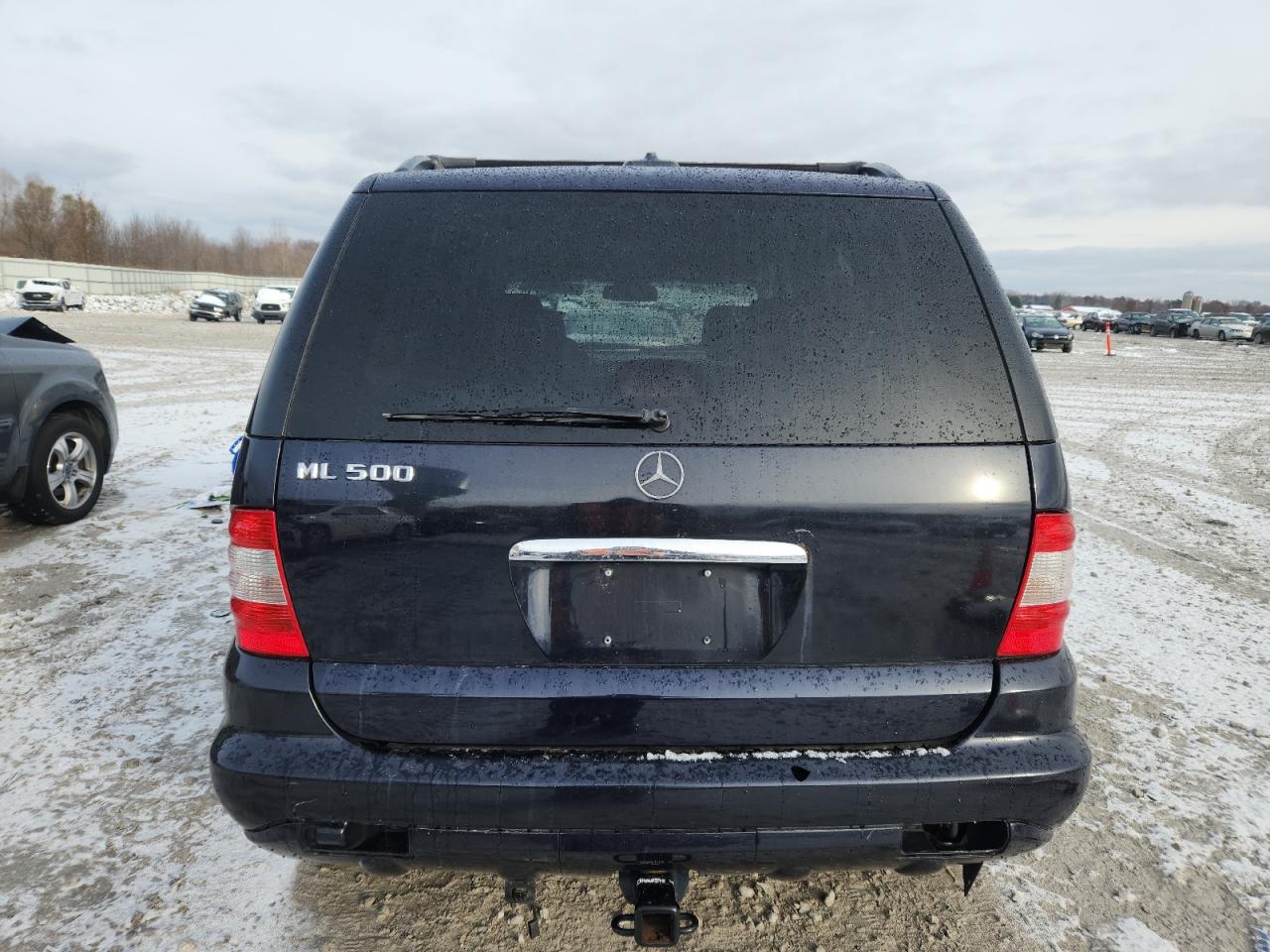 2003 Mercedes-Benz Ml 500 VIN: 4JGAB75E83A406789 Lot: 92006665