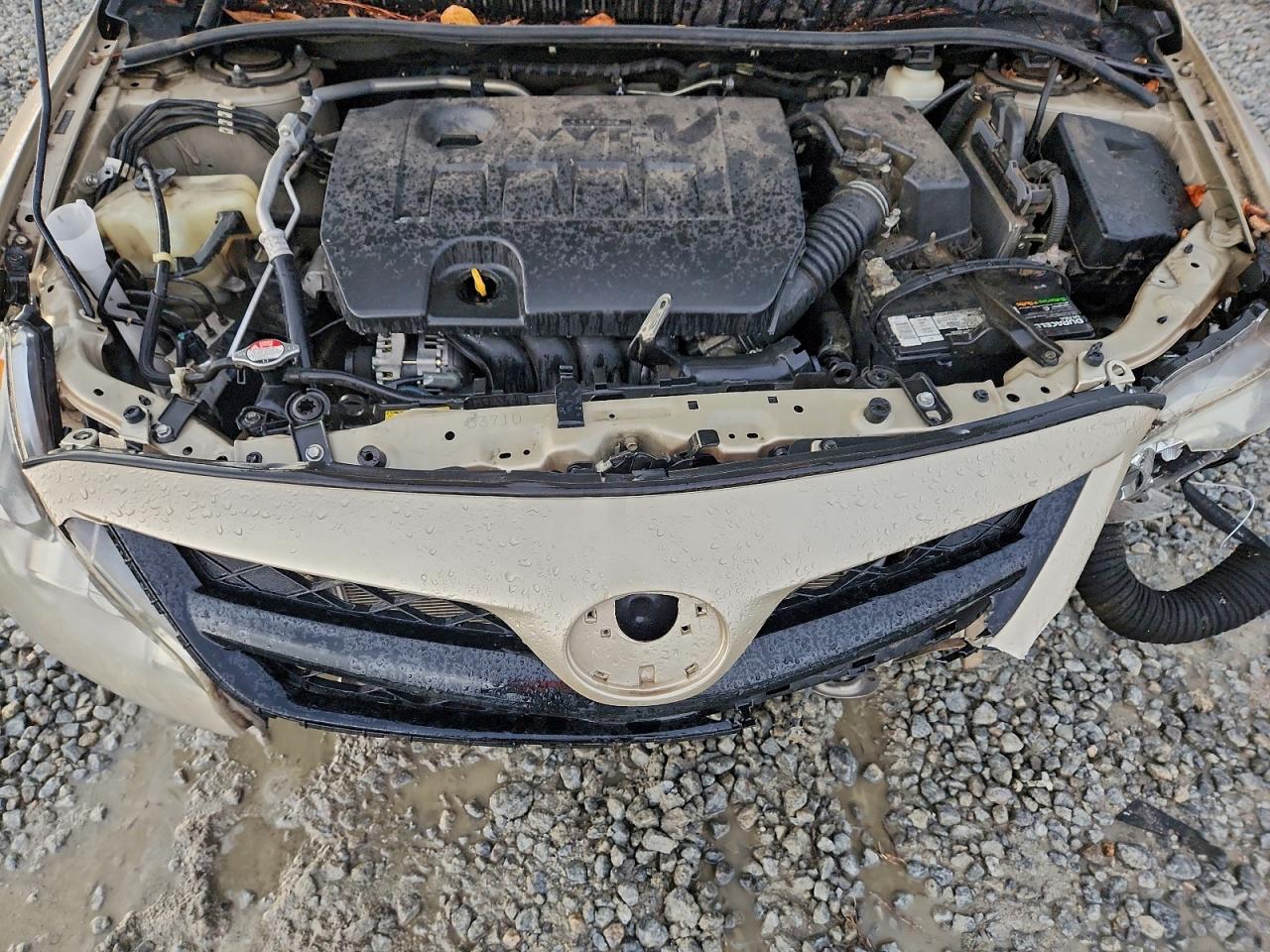 2011 Toyota Corolla Base VIN: 2T1BU4EE9BC569009 Lot: 94642025