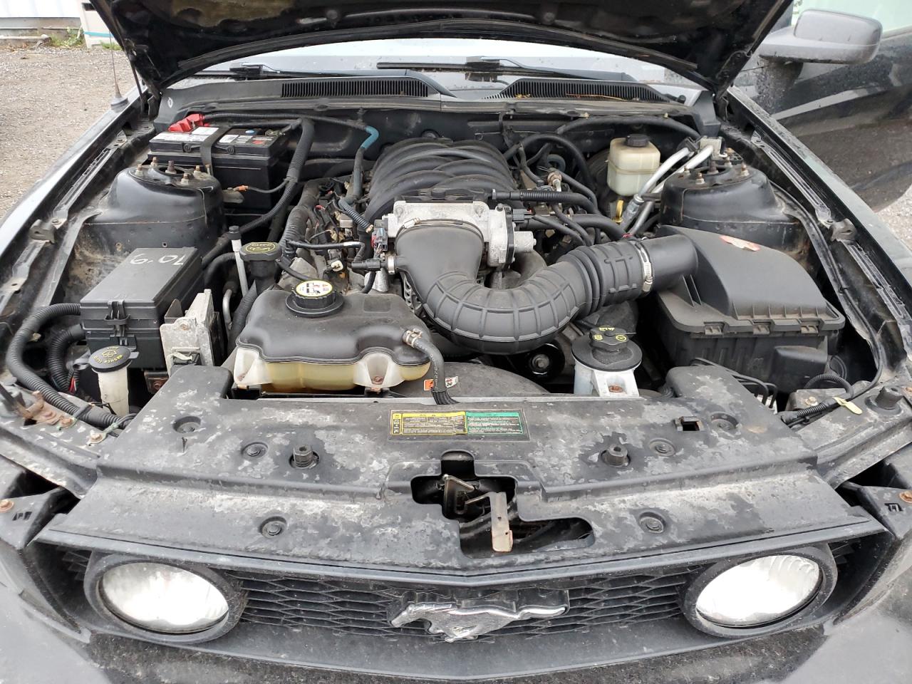 2008 Ford Mustang Gt VIN: 1ZVHT82H285181741 Lot: 90652245