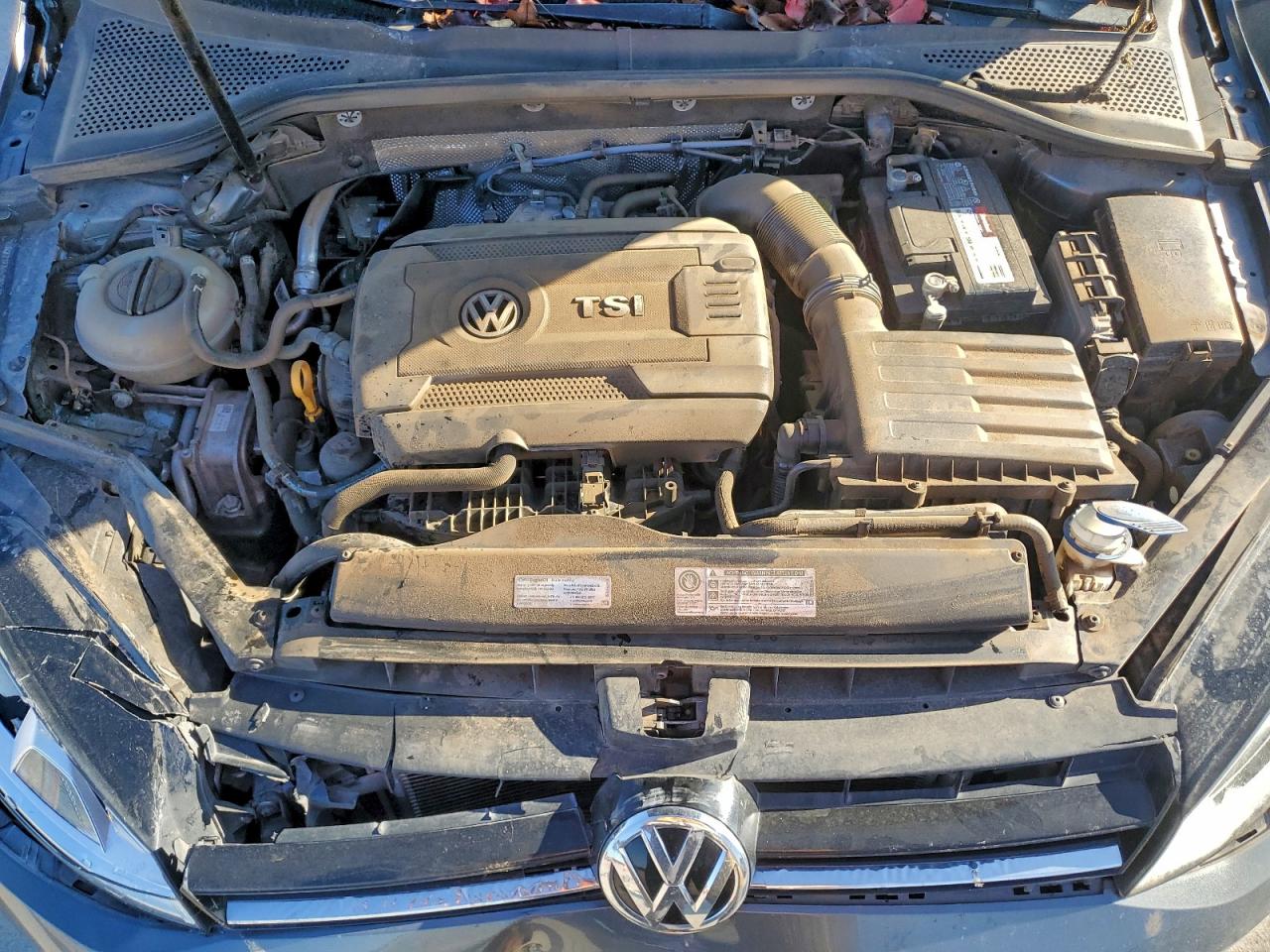 2016 Volkswagen Golf S/Se VIN: 3VW217AU4GM043244 Lot: 92799375