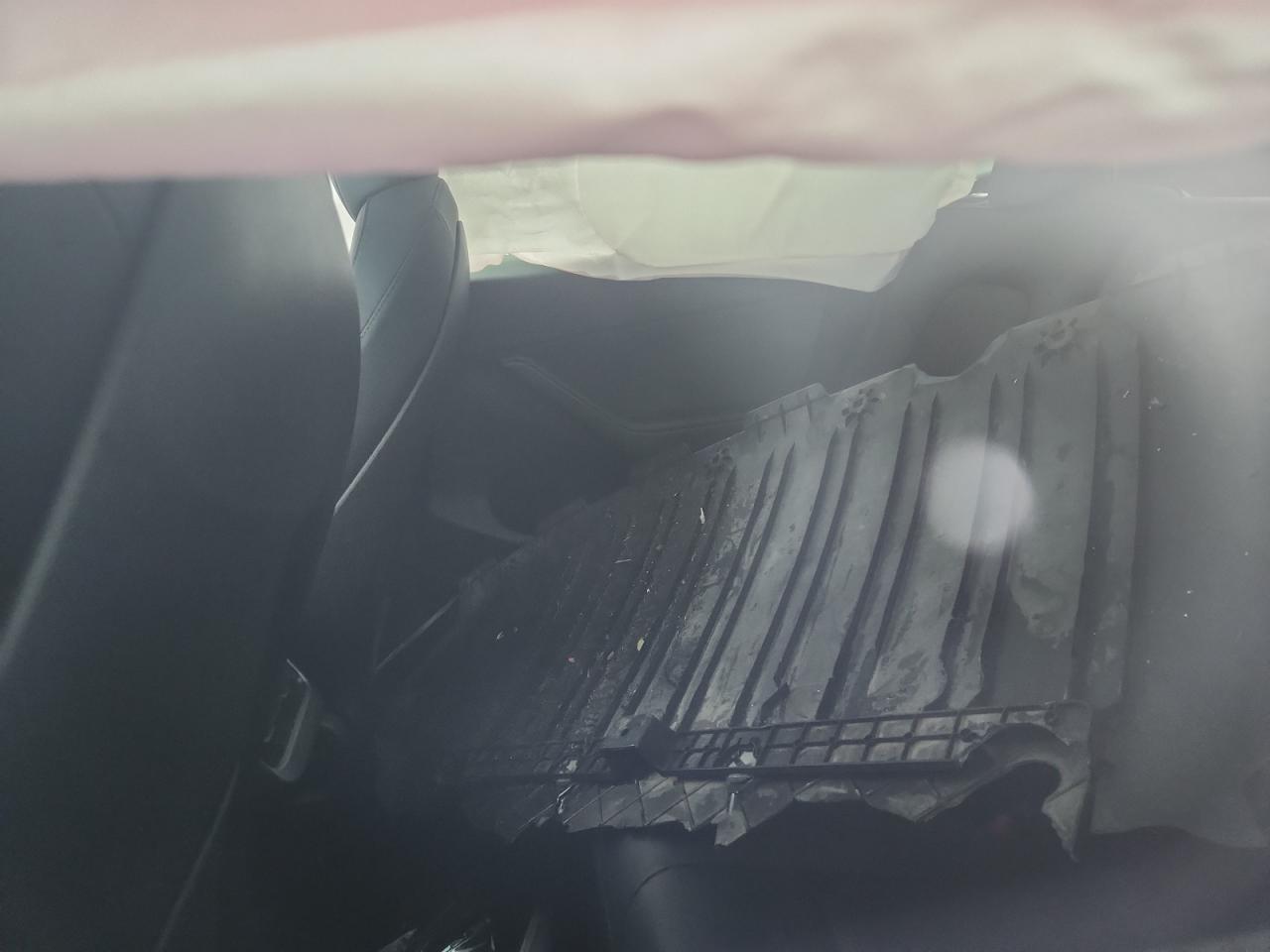 2023 Tesla Model Y VIN: 7SAYGDEE6PA065652 Lot: 92207015