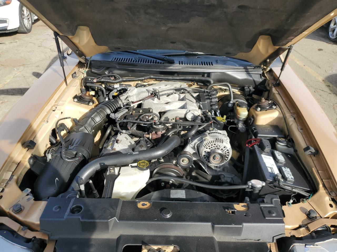 2000 Ford Mustang VIN: 1FAFP4446YF219490 Lot: 91240845