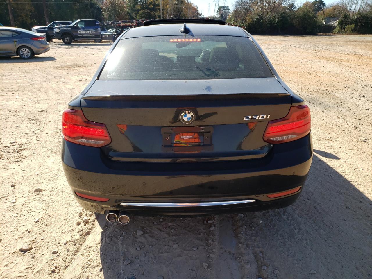 2020 BMW 230I VIN: WBA2J1C08L7E57951 Lot: 92423295