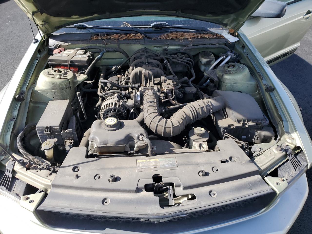 2006 Ford Mustang VIN: 1ZVHT80N965175828 Lot: 91357545