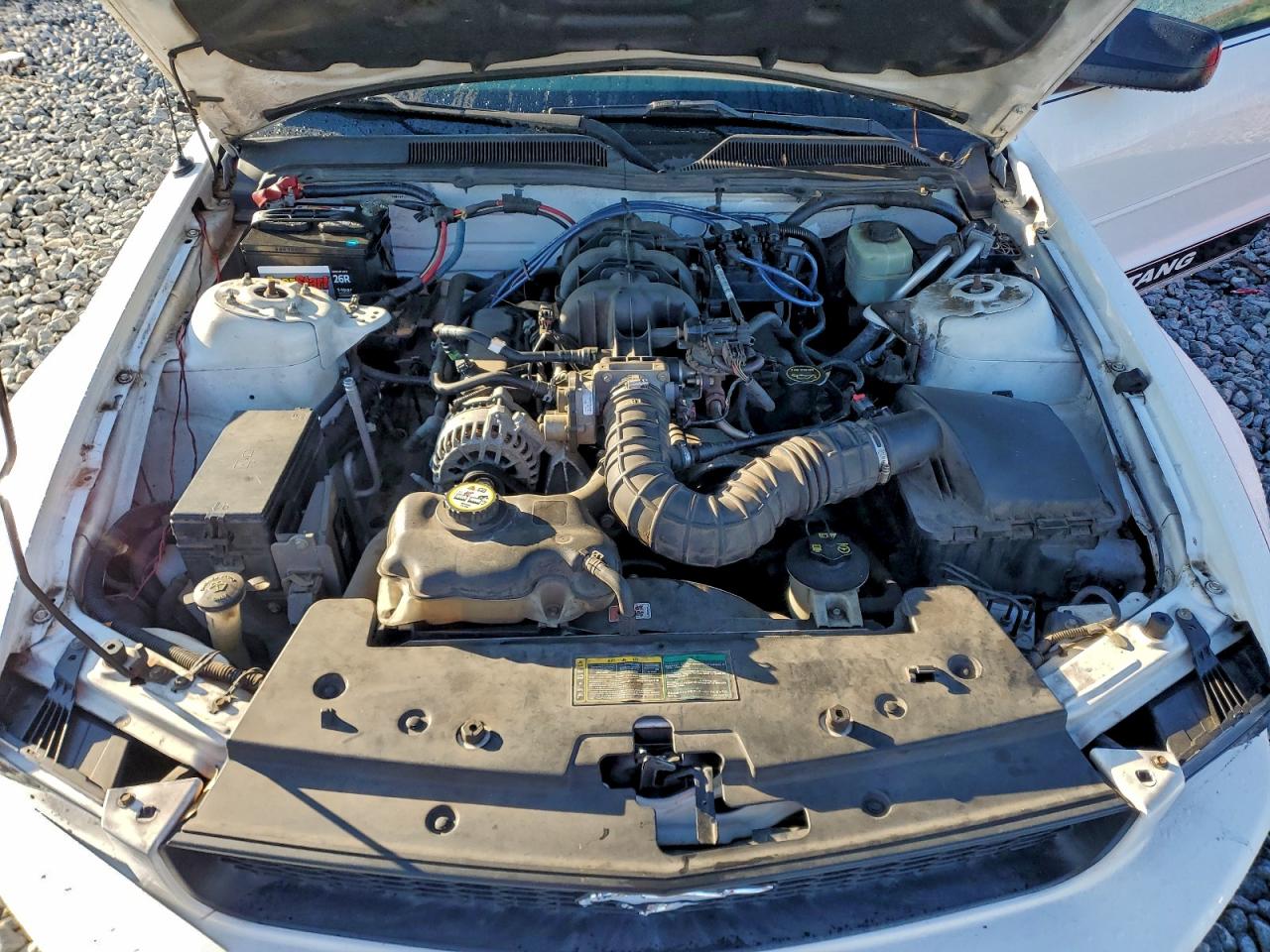 2006 Ford Mustang VIN: 1ZVFT80N065210103 Lot: 93942455