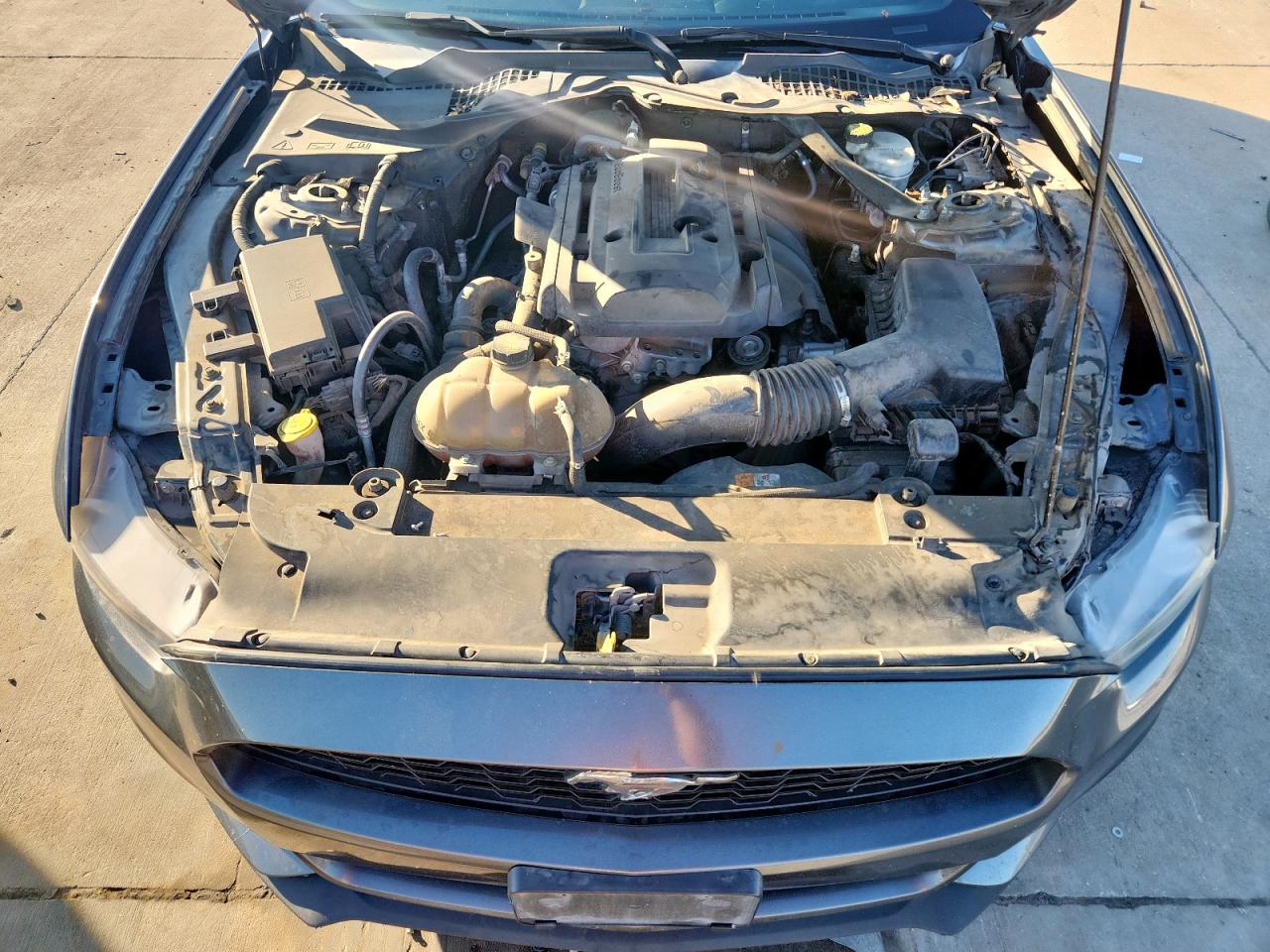 2017 Ford Mustang VIN: 1FATP8UHXH5295765 Lot: 91370745