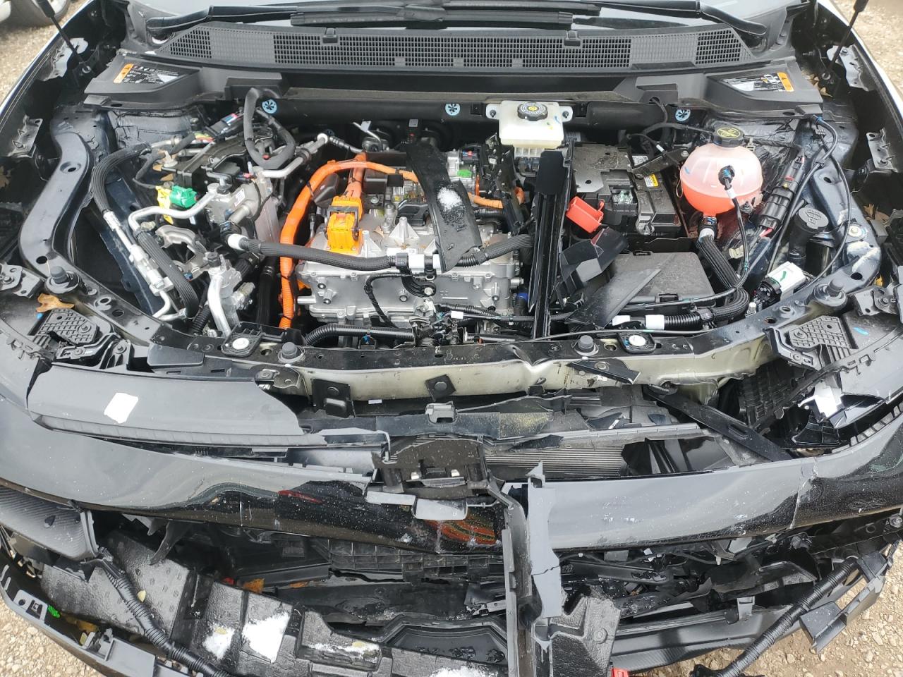 2025 Chevrolet Equinox Lt VIN: 3GN7DMRP2SS234802 Lot: 92062365