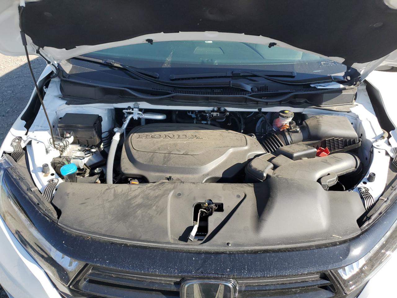 2024 Honda Odyssey Sport VIN: 5FNRL6H77RB059404 Lot: 91433695