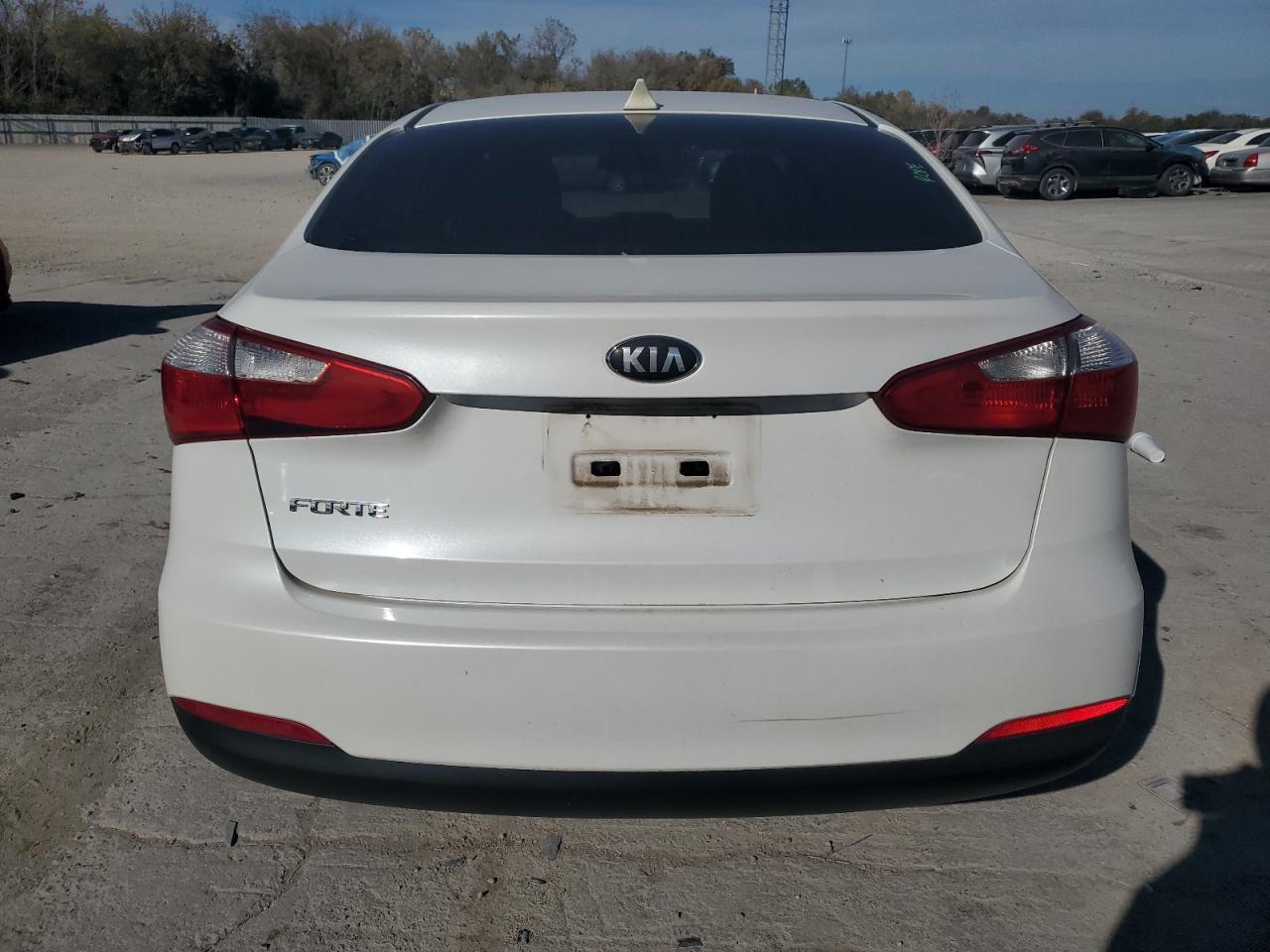 2014 Kia Forte Lx VIN: KNAFX4A69E5184460 Lot: 92470735