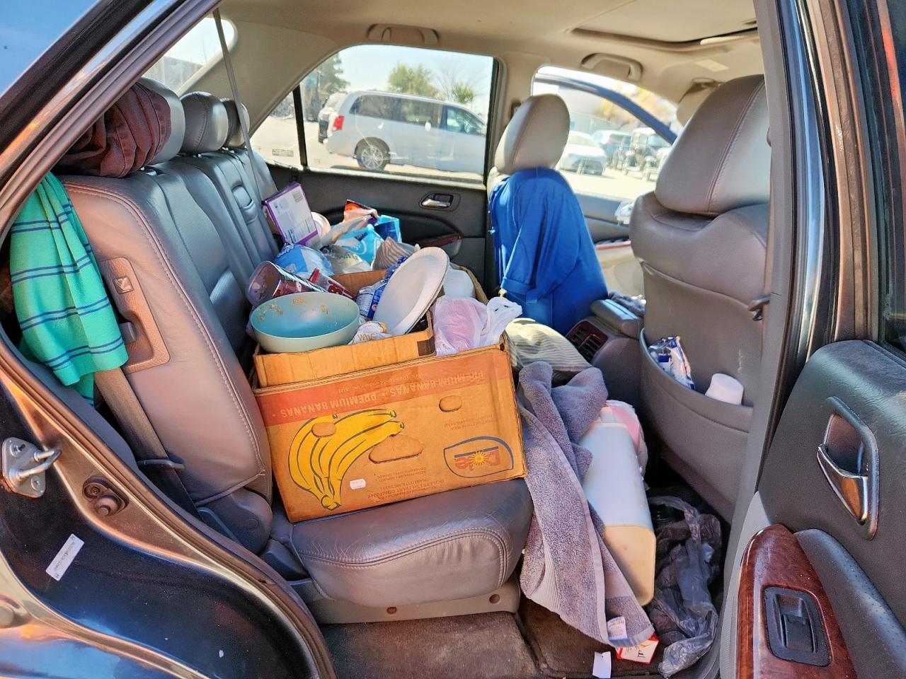 2003 Acura Mdx VIN: 2HNYD182X3H535298 Lot: 91610885