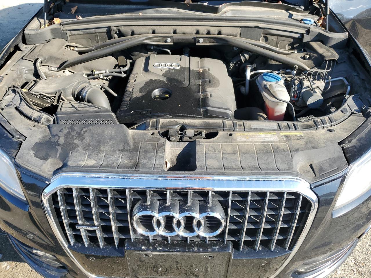 2014 Audi Q5 Premium Plus VIN: WA1LFAFP1EA126367 Lot: 93066945