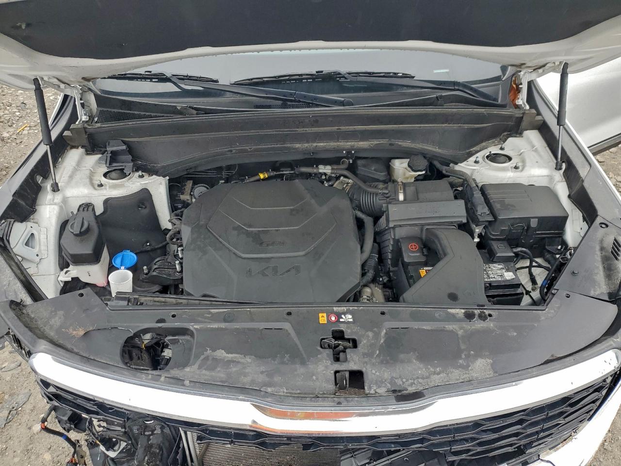 2022 Kia Telluride Ex VIN: 5XYP3DHC5NG312036 Lot: 93253265