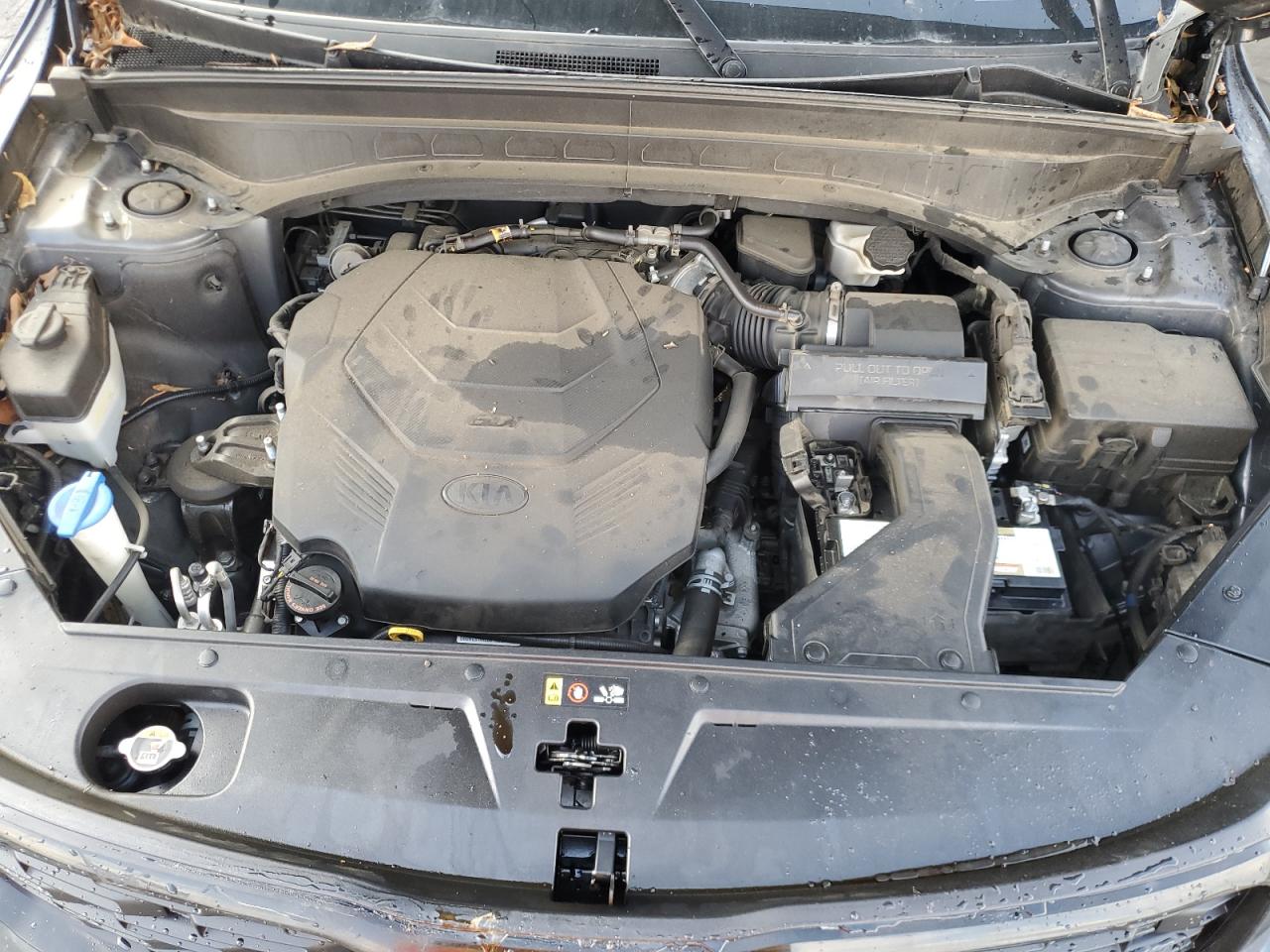 2021 Kia Telluride Sx VIN: 5XYP5DHC2MG103569 Lot: 92346665