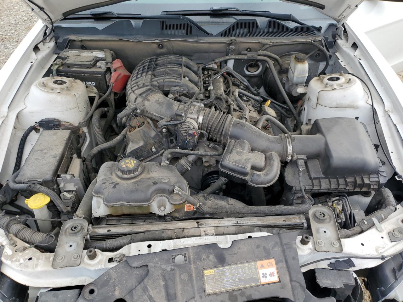 2013 Ford Mustang VIN: 1ZVBP8AM9D5253683 Lot: 91295005