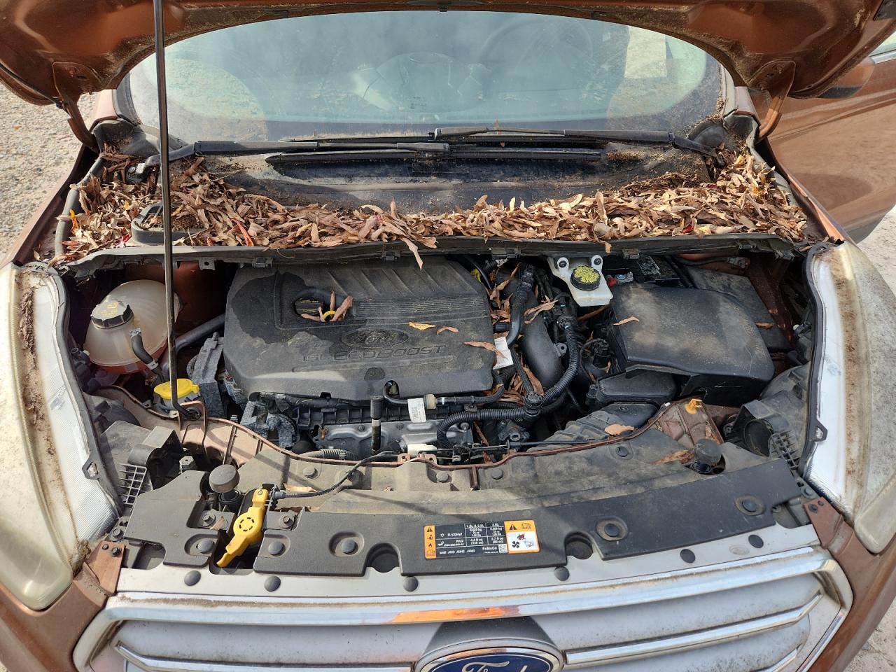 2017 Ford Escape Se VIN: 1FMCU9GDXHUC53938 Lot: 92327045