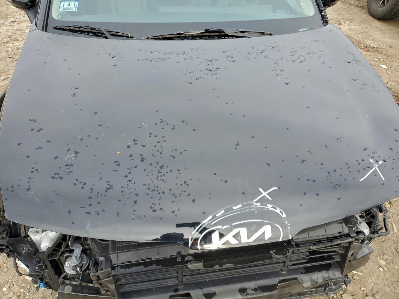 2023 Kia Sportage Ex VIN: 5XYK33AF2PG004138 Lot: 92929365