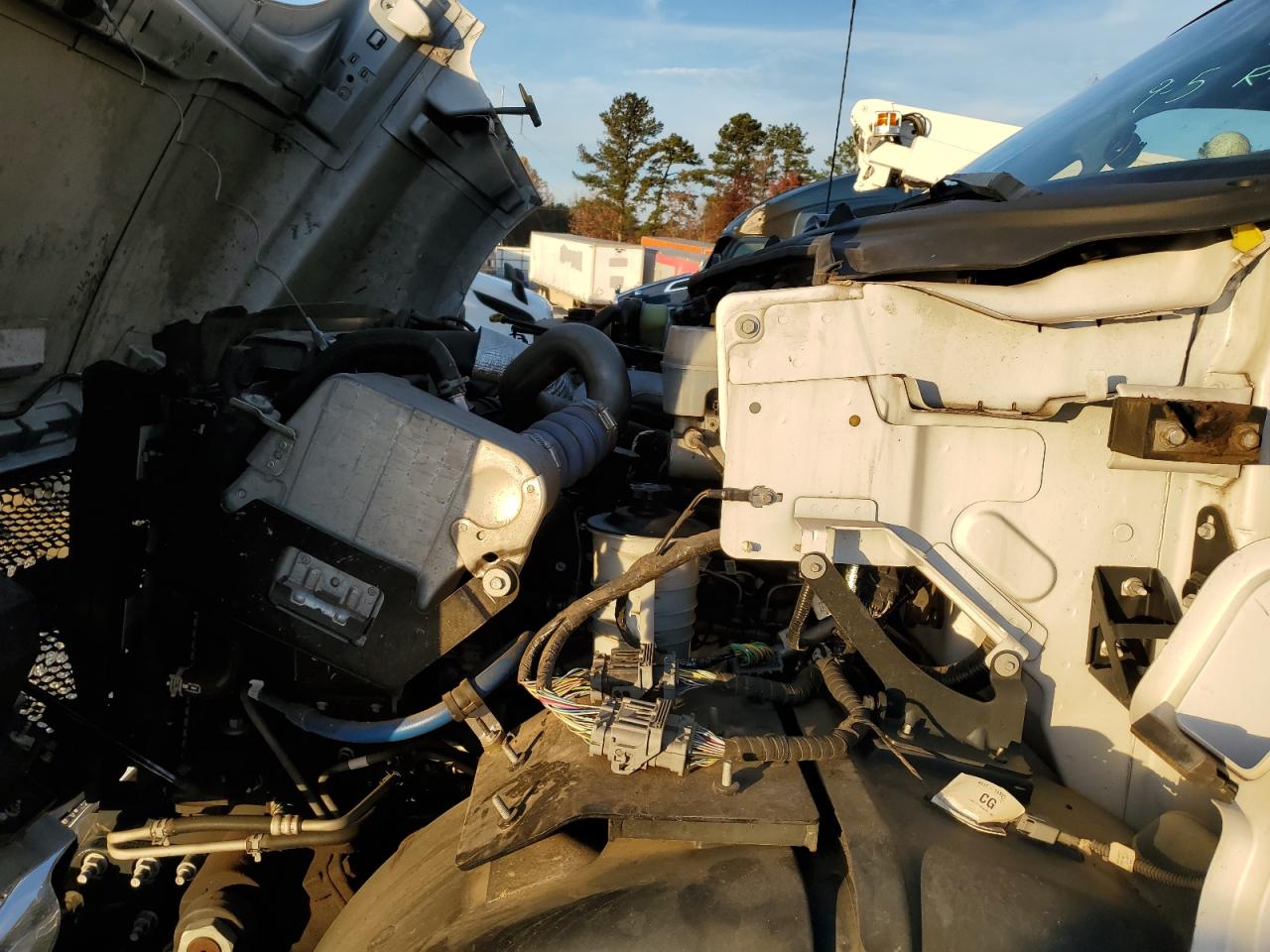 2023 Ford F650 Super Duty VIN: 1FDNF6DC6PDF08144 Lot: 86986445