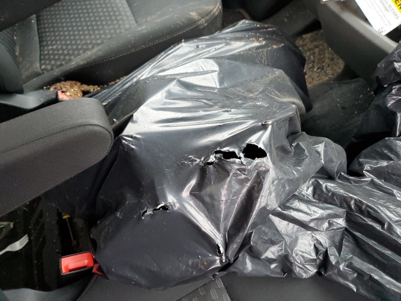 2023 Ford Transit T-350 VIN: 1FBAX2C85PKB44935 Lot: 93407515