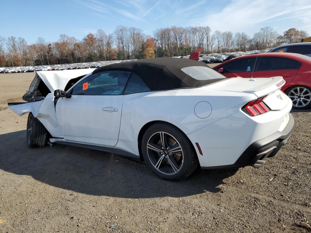 2025 Ford Mustang VIN: 1FAGP8UH8S5123484 Lot: 92841035