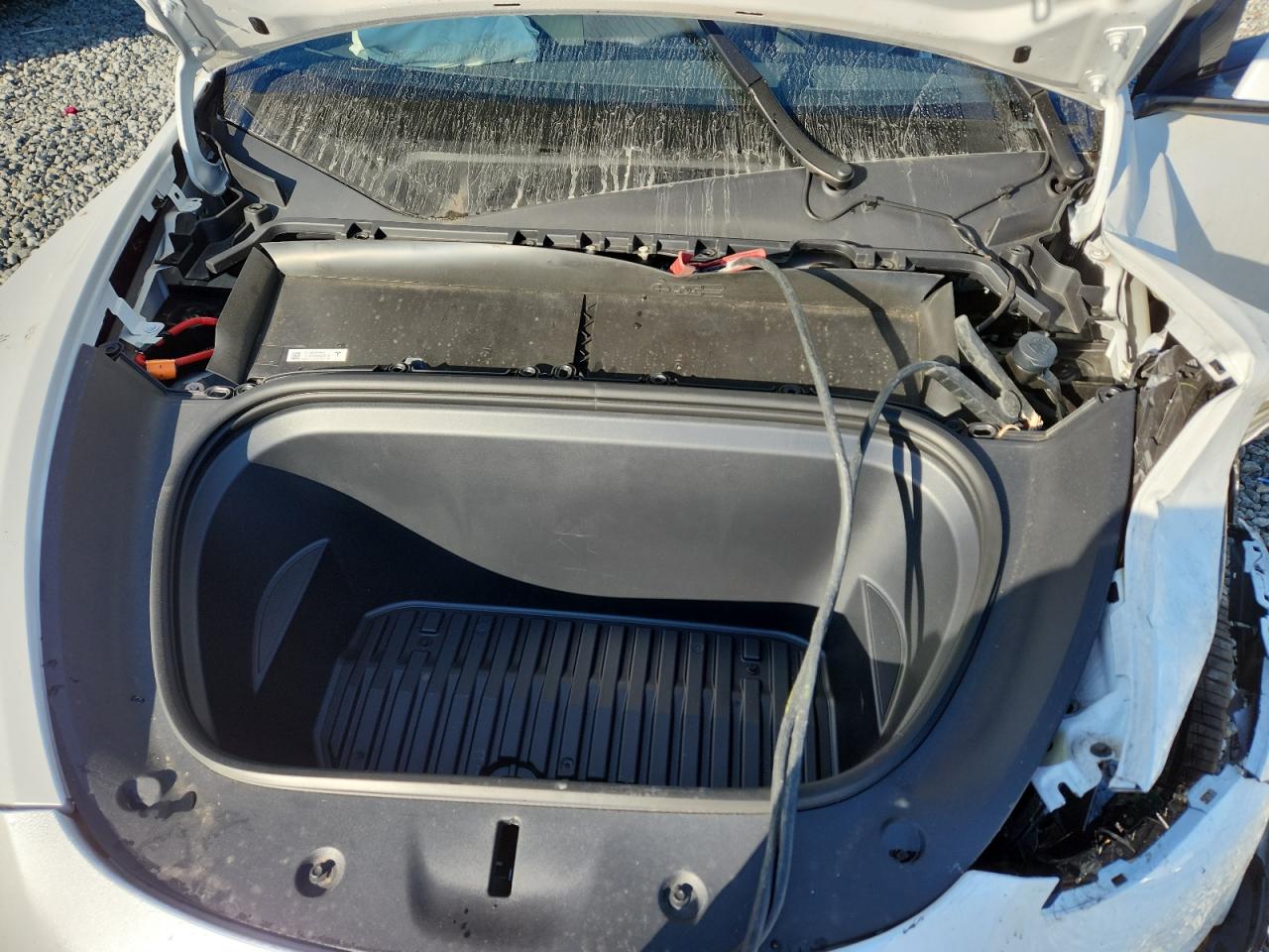 2025 Tesla Model Y VIN: 7SAYGDED4SA362659 Lot: 91411385